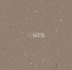 Линолеум Forbo Marmoleum Decibel on Order 363135 otter фото 1 | FLOORDEALER